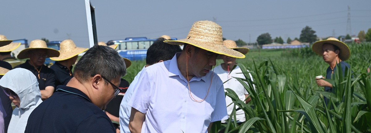 DSC_5612_副本 - 副本.jpg